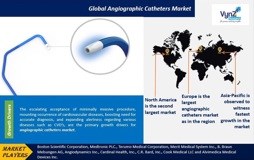 Angiographic Catheters Market Highlights