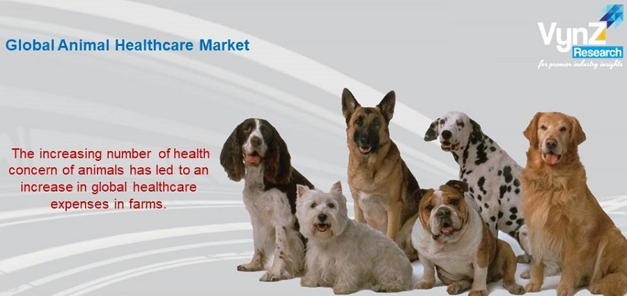 Animal Healthcare Market Highlights Animal Healthcare Market Highlights