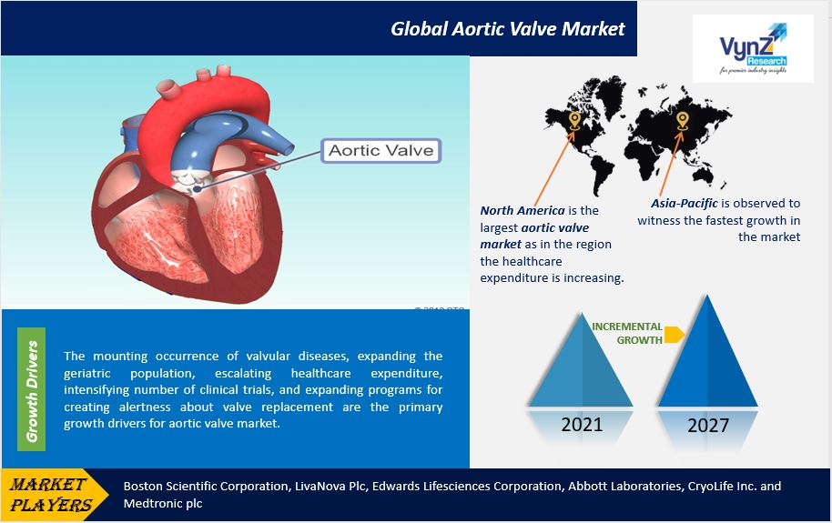 Aortic Valve Market Highlights