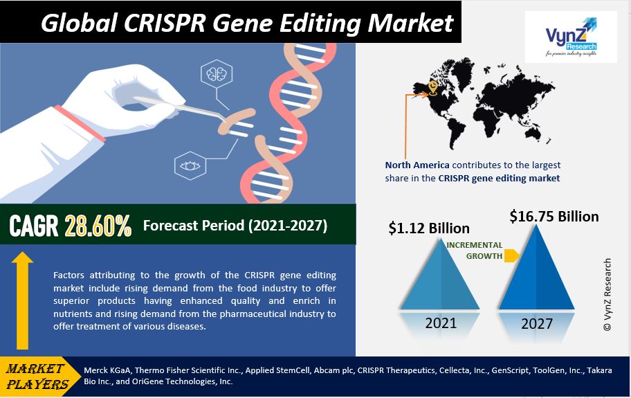 CRISPR Gene Editing Market