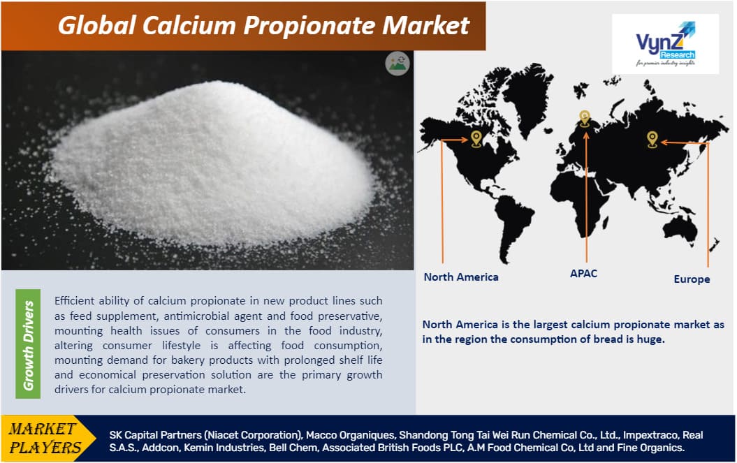 Calcium Propionate Market