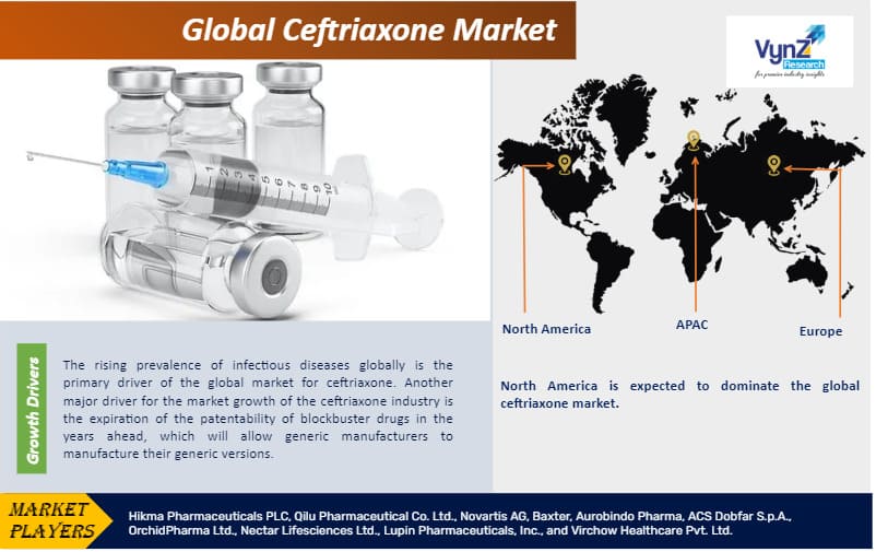 Ceftriaxone Market