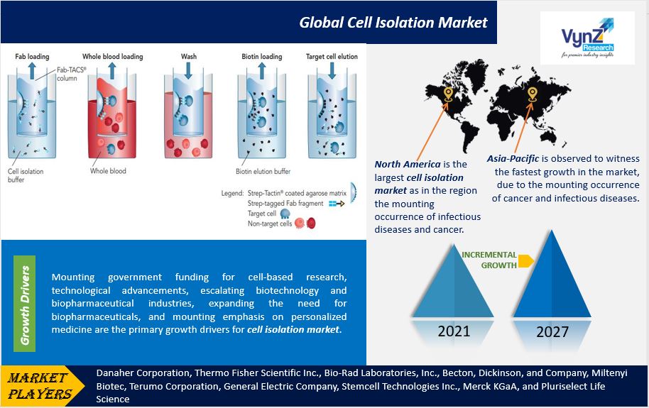 Cell Isolation Market Highlights