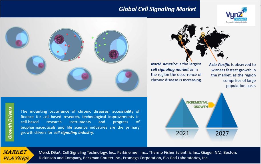 Cell Signaling Market Highlights