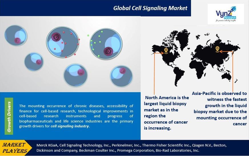 Cell Signaling Market Highlights