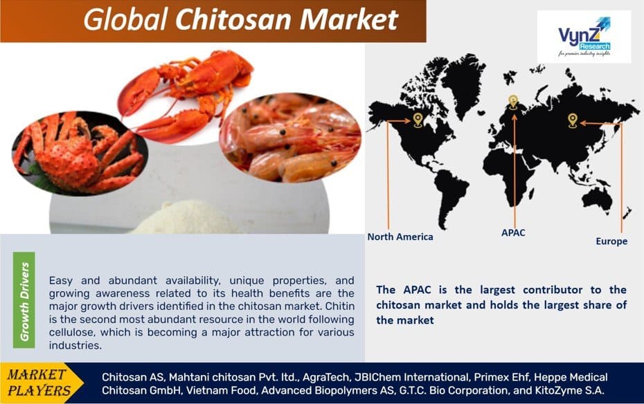 Chitosan Market