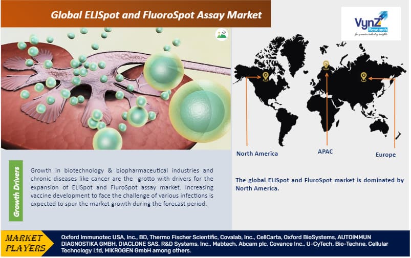ELISpot And FluoroSpot Assay Market