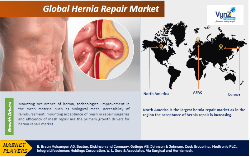 Hernia Repair Market