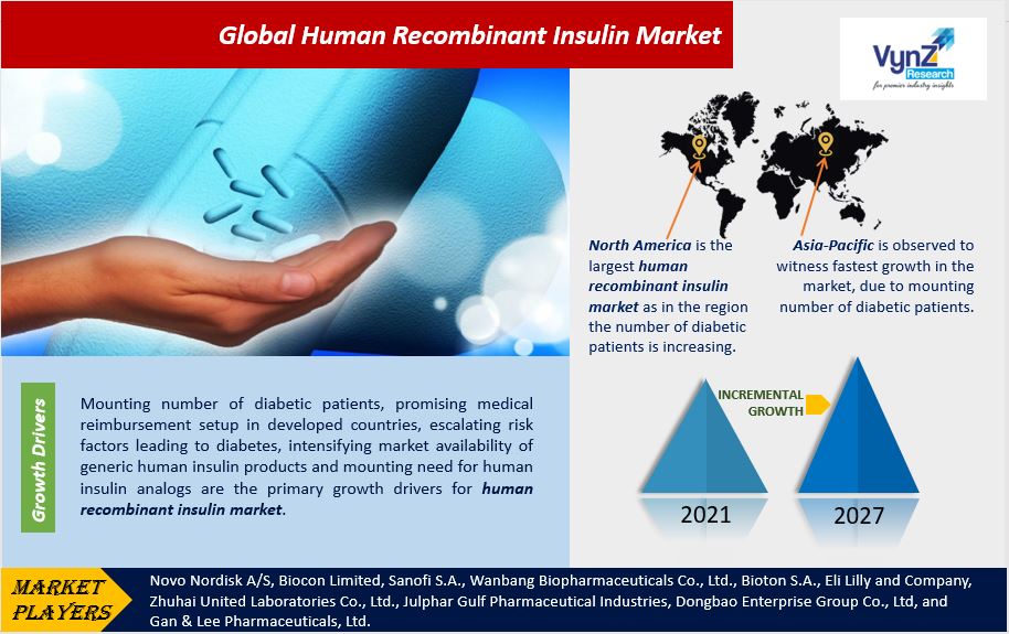 Human Recombinant Insulin Market Highlights