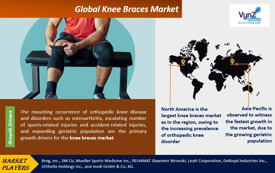 Knee Braces Market Highlights