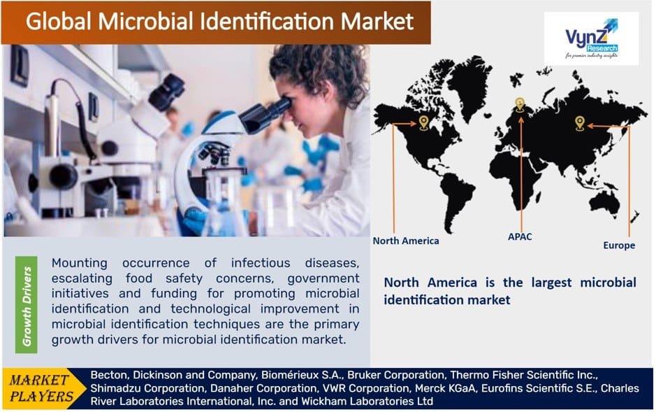 Microbial Identification Market