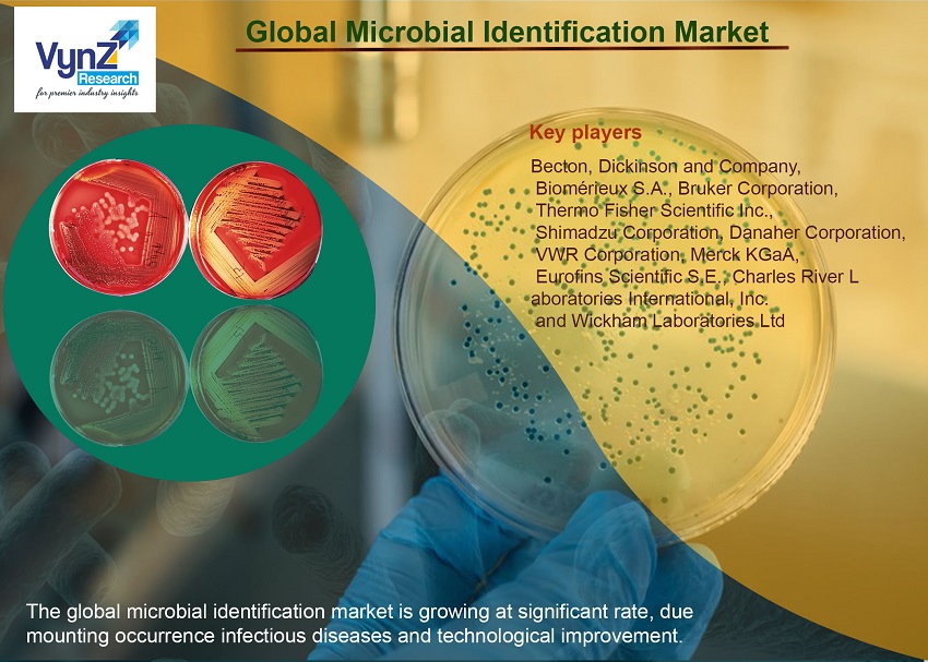 Microbial Identification Market Highlights Microbial Identification Market Highlights
