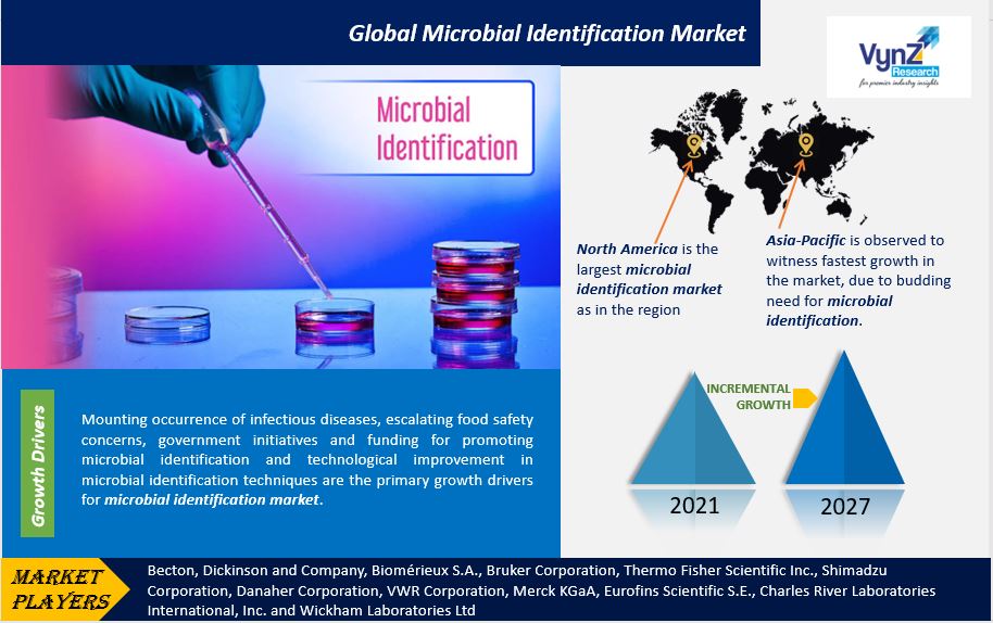 Microbial Identification Market Highlights