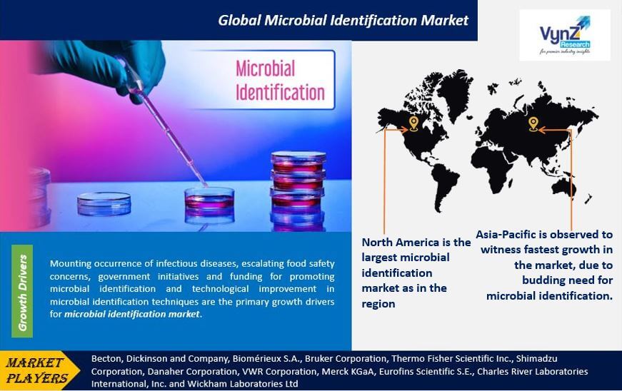 Microbial Identification Market Highlights