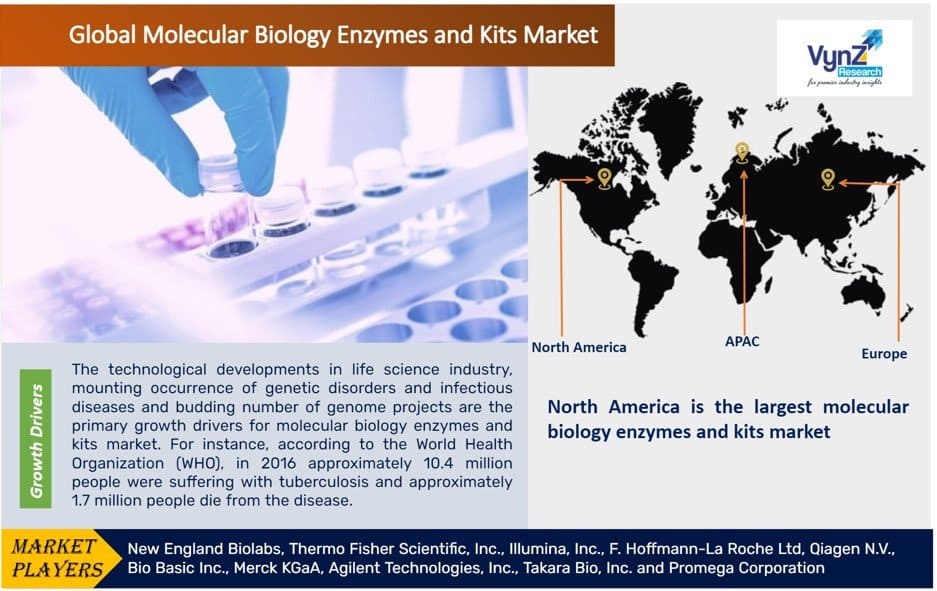 Molecular Biology Enzymes and Kits Market