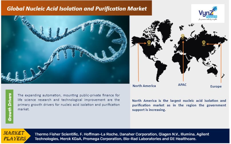 Nucleic Acid Isolation And Purification Market