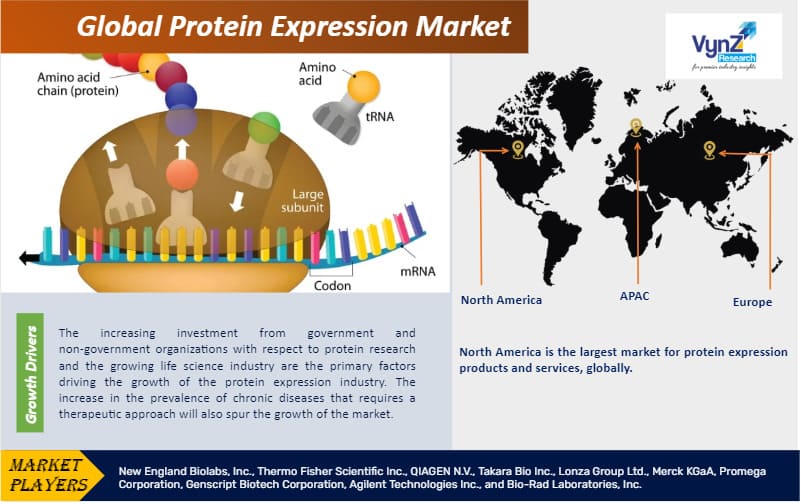 Protein Expression Market