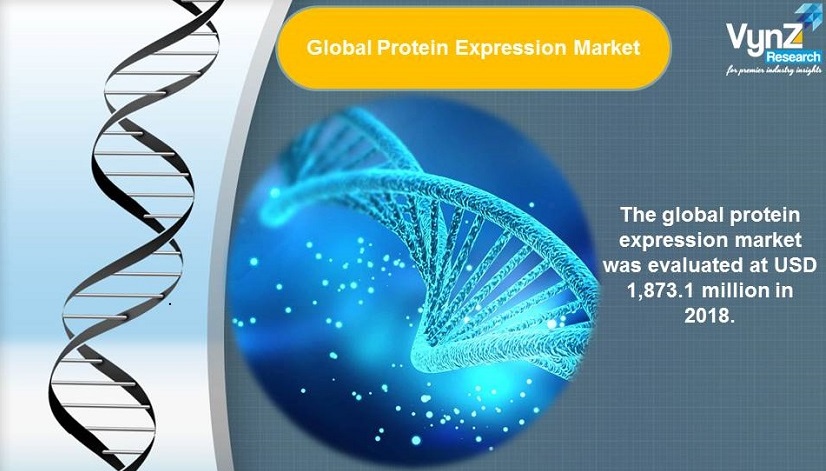 Protein Expression Market Highlights Protein Expression Market Highlights