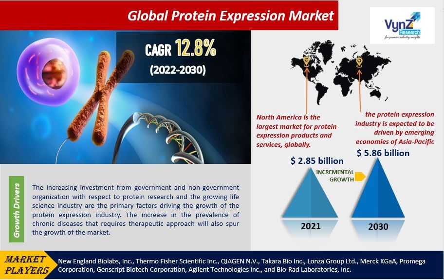 Protein Expression Market Highlights