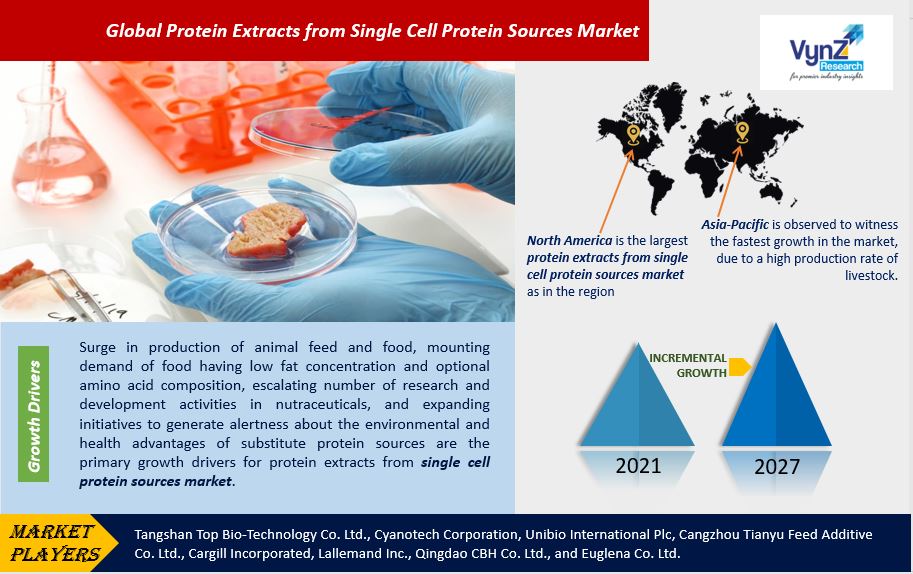 Protein Extracts from Single Cell Protein Sources Market Highlights