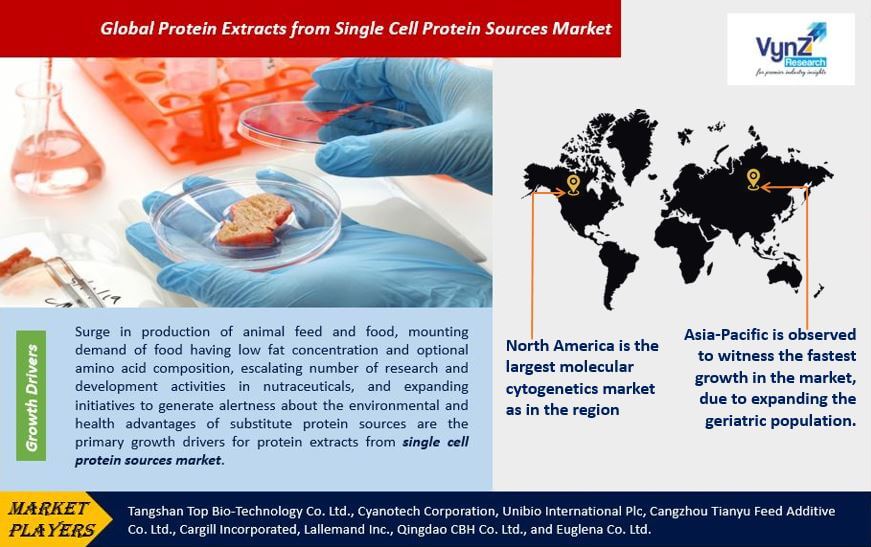 Protein Extracts from Single Cell Protein Sources Market Highlights