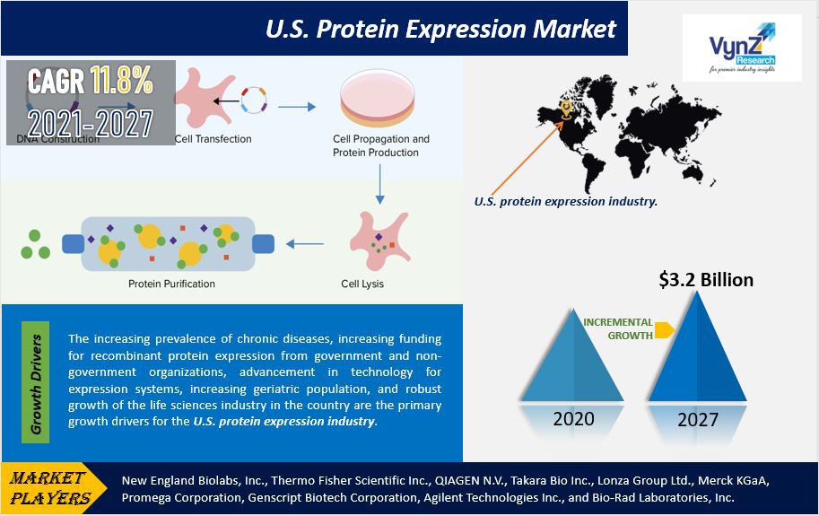 US Protein Expression Market Highlights